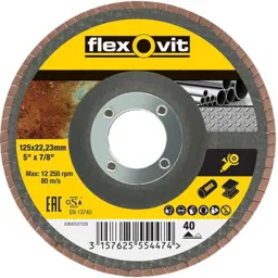 Flexovit Abrasive Flap Disc - 125mm, 40g