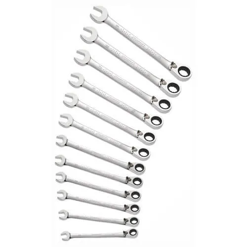 Expert by Facom 12 Piece Ratchet Combination Spanner Set