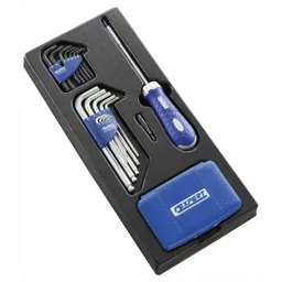 Expert by Facom 74 Piece Ratchet Screwdriver and Allen Key Set Metric in Module Tray