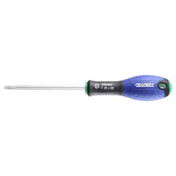 Expert by Facom Torx Screwdriver - T25, 100mm