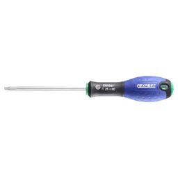 Expert by Facom Security Torx Screwdriver - T27, 100mm