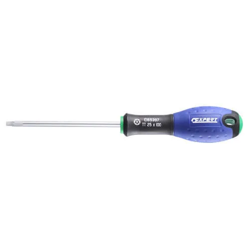 Expert by Facom Security Torx Screwdriver - T20, 100mm
