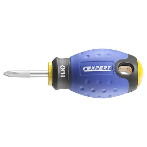 Expert by Facom Stubby Phillips Screwdriver - PH2, 30mm