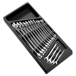 Expert by Facom 16 Piece Combination Spanner Set in Module Tray