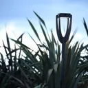 Tulip LED solar light with a ground spike