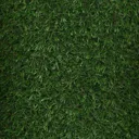 Eton Medium density Artificial grass 12m² (T)15mm