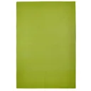 Colours Madisen Plain Green Rug (L)1.7m (W)1.2m