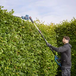 Erbauer Pole 18V 450mm Cordless Hedge trimmer