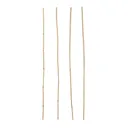 Verve Bamboo Cane 90cm, Pack of 15