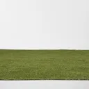 Boronia Artificial grass Sample (T)80mm