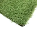 Dennis Artificial grass 4m² (T)22mm