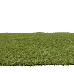 Dennis Artificial grass Sample (T)22mm