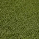 Olive Artificial grass 8m² (T)47mm
