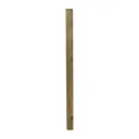 Blooma UC4 Pine Square Fence post (H)0.8m (W)45mm