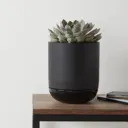 Glazed Black Terracotta Plant pot (Dia)15.7cm
