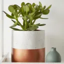 Copper Terracotta Dipped Plant pot (Dia)14cm