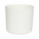 White Plastic Round Plant pot (Dia)13.5cm