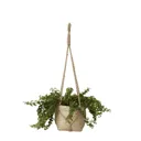 Natural Seagrass Herringbone Round Plant pot (Dia)20.5cm
