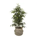 Black Seagrass Herringbone Round Plant pot (Dia)25cm