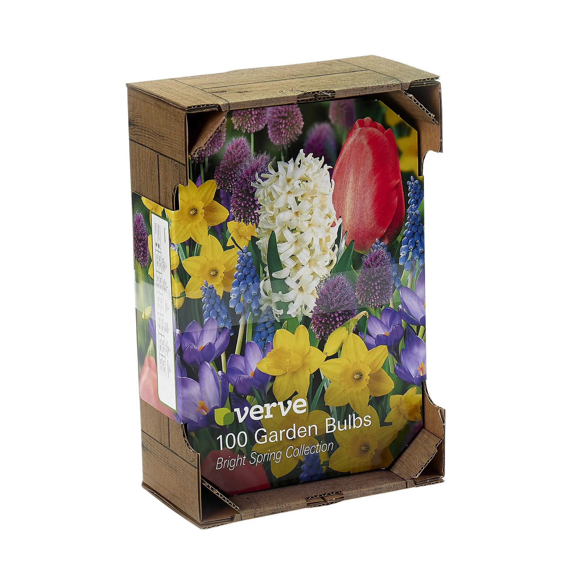 Mix Bright spring collection Flower bulb, Pack of 100