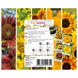 Collection Sunflower Seed