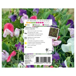 Cascading mix Sweet pea Seed