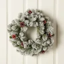 50cm Frosted Wreath