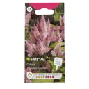 Pink seed Celosia Seed