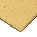Sponge scourer, Pack of 10