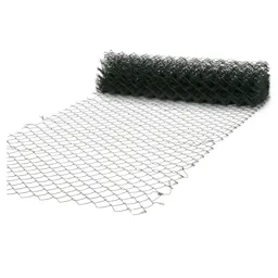 Blooma Green PVC-coated Steel Wire mesh panel, (L)20m (W)1m (12200g)