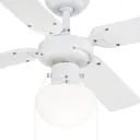 Traditional Matt White Ceiling fan light
