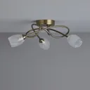 Egeria Antique brass effect 3 Lamp Ceiling light