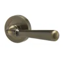 Colours Brass effect Aluminium Straight Latch Lever on rose handle (L)116mm, Pack of 2