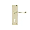 Colours Nehou Polished Brass effect Zamac Scroll Lock Door handle (L)96mm, Pair