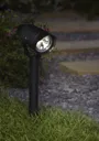 Matt Black Solar-powered LED Outdoor Spike light