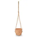 Laleh Terracotta Terracotta Round Hanging pot (Dia)15cm