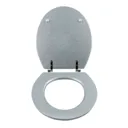 Cooke & Lewis Nosara Silver Glitter effect Standard close Toilet seat