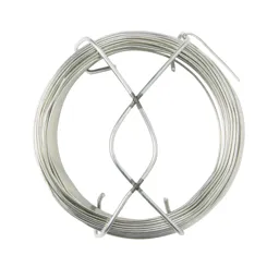Diall Steel Wire, (L)50m (Dia)0.9mm