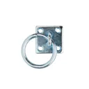 Diall Zinc-plated Steel Ring on plate