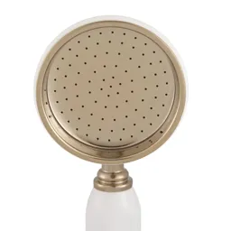 Cooke & Lewis Single-spray pattern Chrome & gold effect Shower head