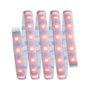 LED strip Max LED basic set 150 cm RGB + white