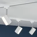 Paulmann URail Pedal LED spot in white