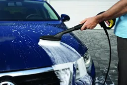 Kärcher Car wash brush