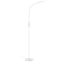 1296-016 LED floor lamp with remote, chrome