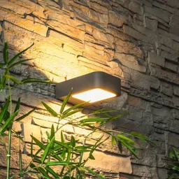 Modern Juna LED wall light for outdoors