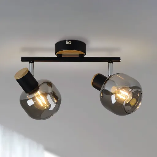 1350122 ceiling light with smoked glass, two-bulb