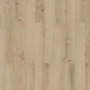 Ledbury Natural Gloss Oak effect Laminate Flooring Sample