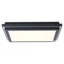 AEG Loren LED panel CCT dimmable, black 40 x 40 cm