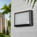 Kiran LED outdoor wall light