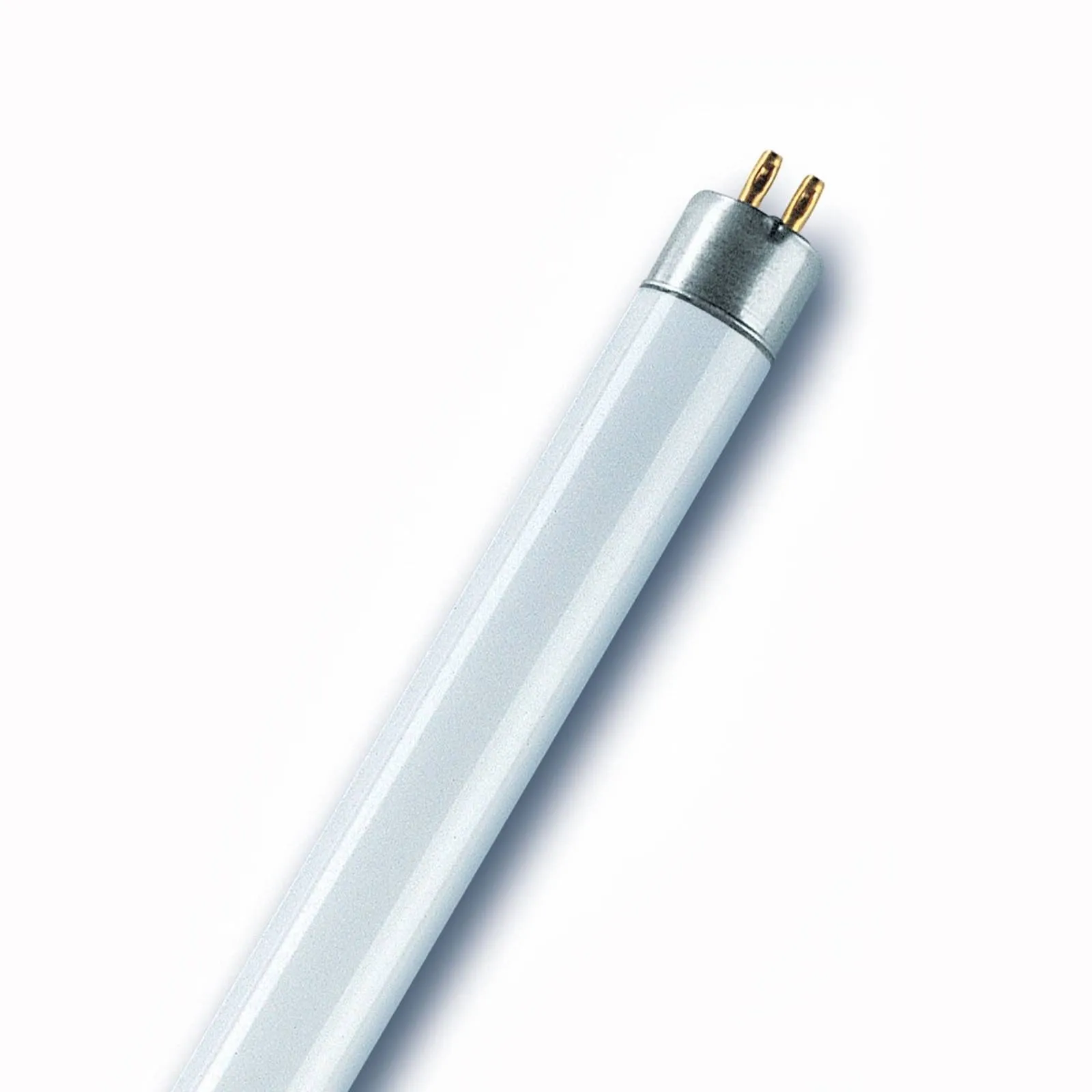 G5 T5 6W 830 Lumilux short fluorescent bulb